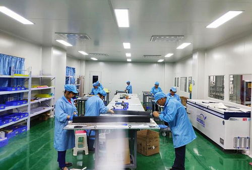 企業(yè)生產(chǎn)忙 經(jīng)濟(jì)穩(wěn)向好